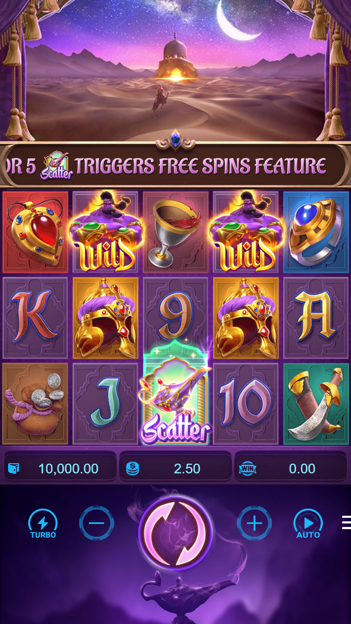 dtg288 App dtg288 App